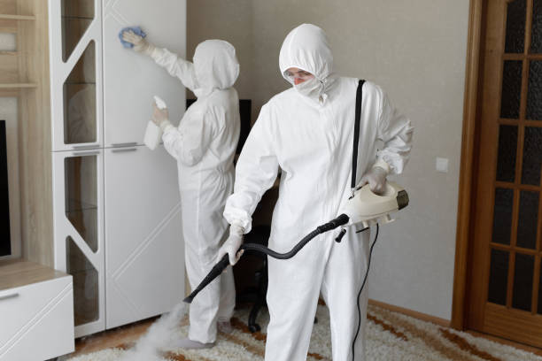 Trusted Arnold Line, MS Mold Removal Experts