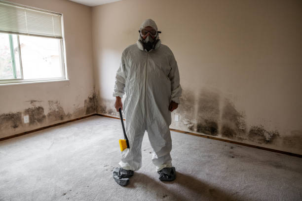 Home Mold Removal in Arnold Line, MS